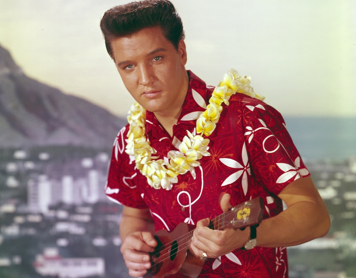 guy hawaiian outfit