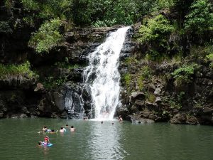 Access to beautiful Waimea Falls is included with the Toa Luau