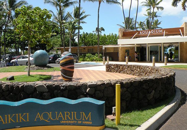 Diamond Head Luau includes free entrance to the Waikiki Aquarium