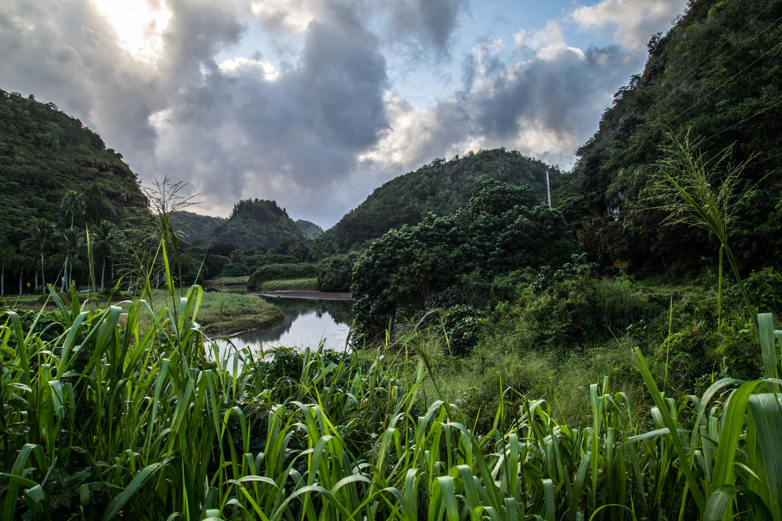 View of the Waimea Valley.