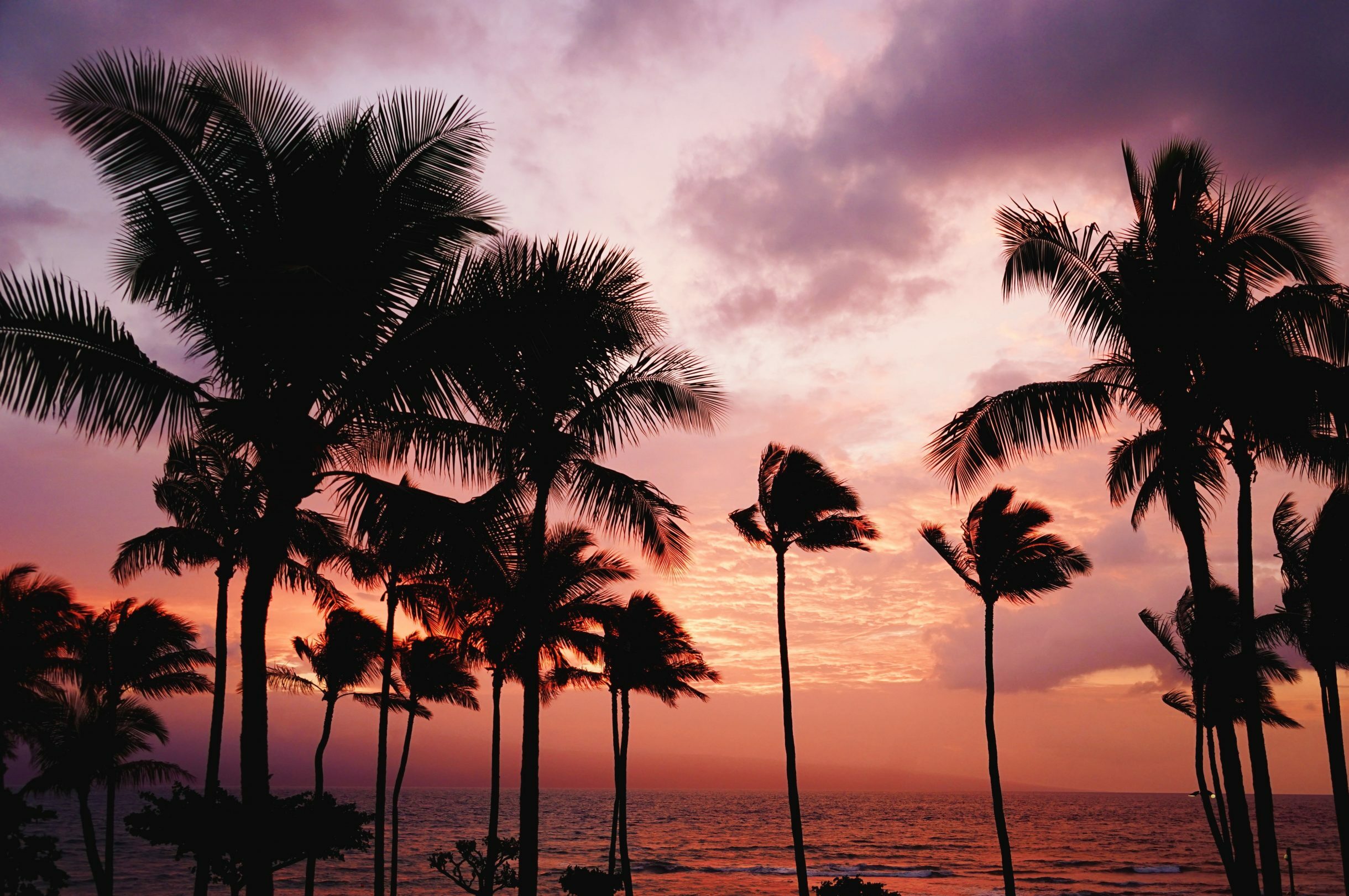 Waikiki Luau Sunset