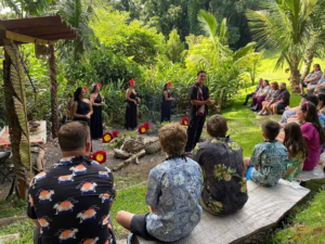 Guests sit and watch a hula demonstration in a tropical garden setting. 