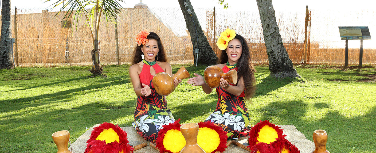 Luau dancers display their instruments on the lawn before the luau begins.
