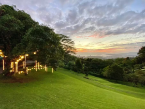 The grounds at Nutridge Estate overlooking the city of Honolulu during sunset