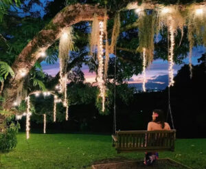 A woman sits in a swing, hanging from a tree branch decorated with strings of lights. 