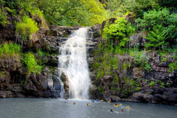 Guest swim in a natural pool below Waimea Falls at the Waimea Valley Botanical Gardens on Oahu, Hawaii. 