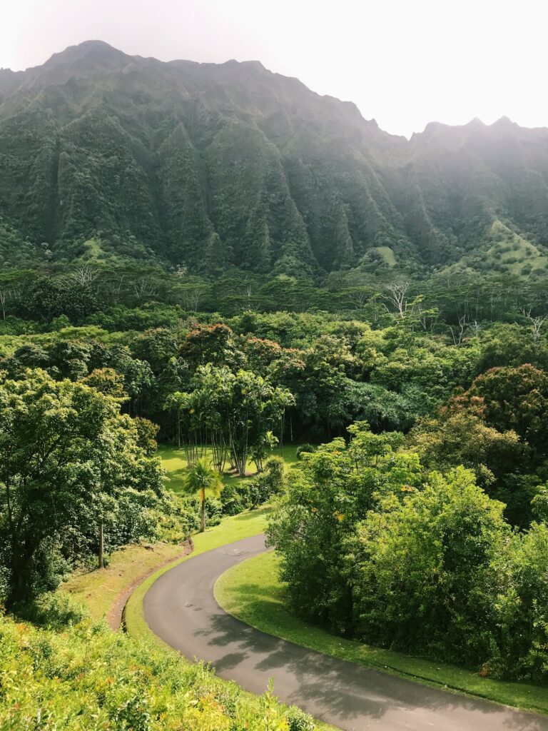 Ho'omaluhia Botanical Garden is one of the best free activities on Oahu.